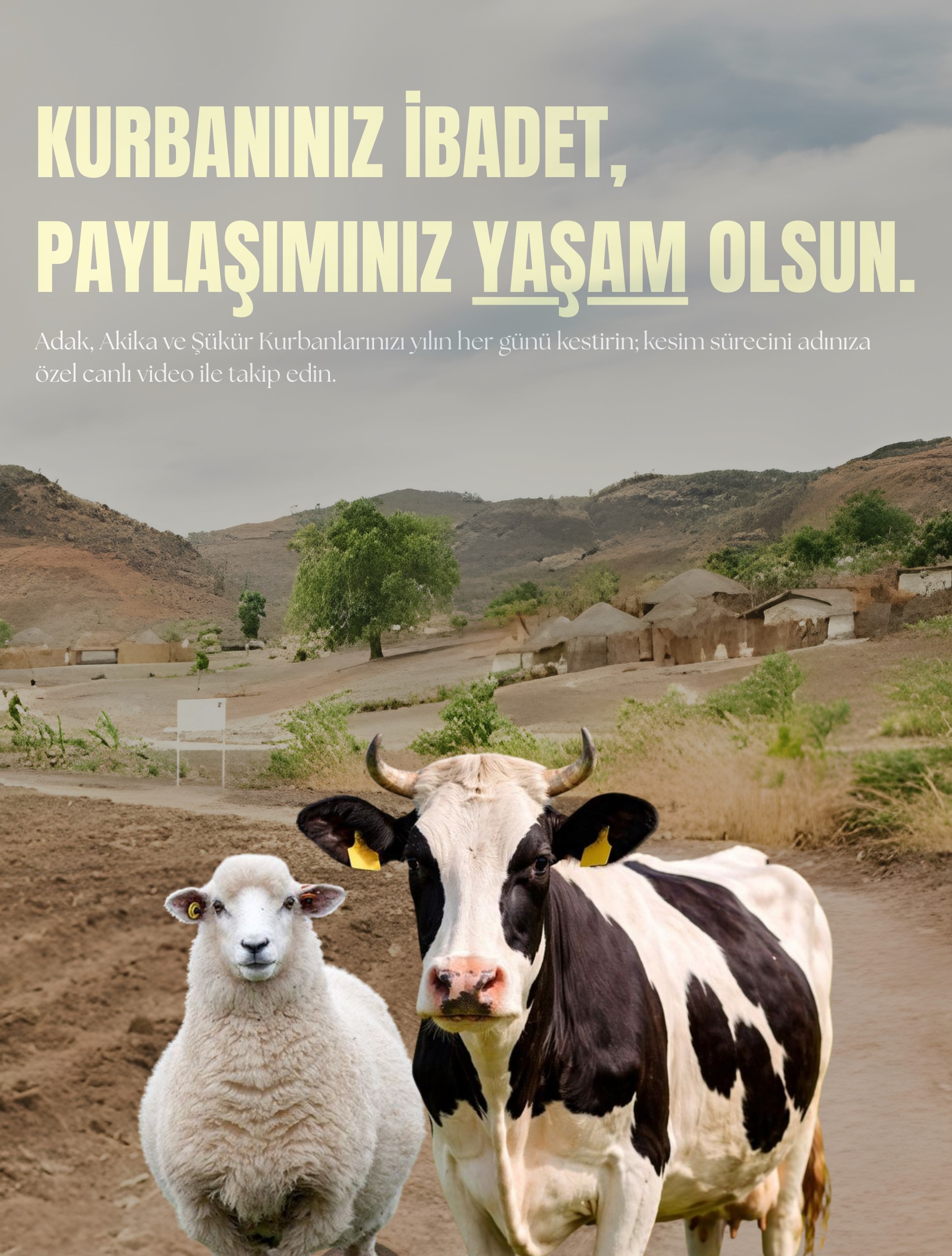 Büyükbaş Kurban